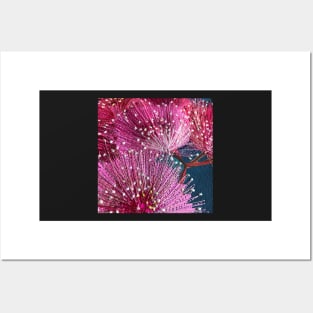 Shades of Pink Native Floral Design by Leah Gay Posters and Art